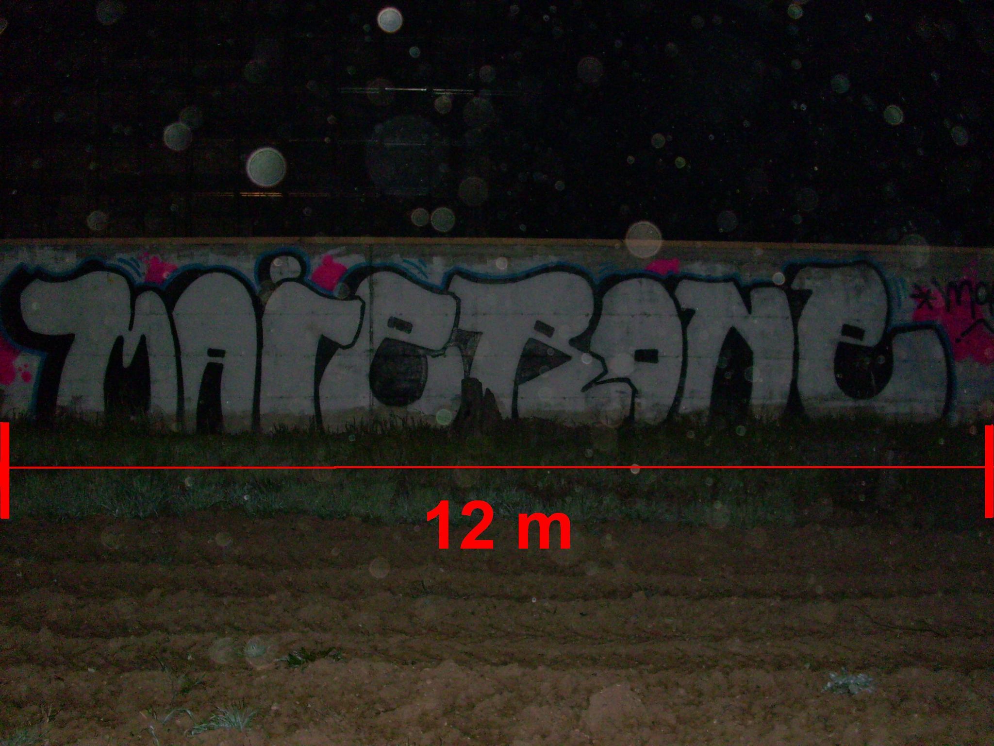 MAIER: 12 METRI